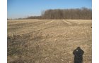 Property photo 11 - 44 Acres Offered in 3 Tracts